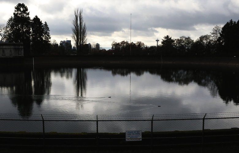 Ducks swim on the Volunteer Park reservoir on Capitol Hill.
The sign says “Please Do Not Feed The Birds.  Keep Your Drinking Water Clean”

With the Roosevelt and Volunteer reservoirs, SPU has enough emergency storage to last 2.8 days days days, according to the study. Tacoma has enough to last 3.9 days, Portland 4.3 days and San Francisco 5 days.

Thursday Nov 29,2018
 208615