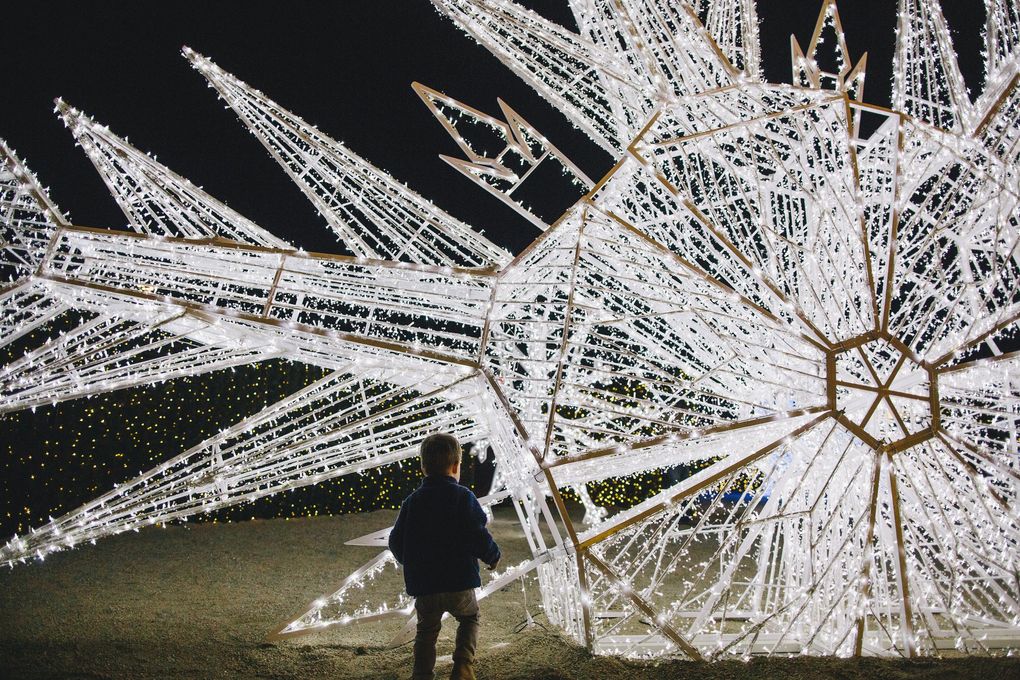 A light sculpture seen from inside an Enchant Christmas light maze. (Courtesy of Enchant Christmas / Courtesy of Enchant Christmas)