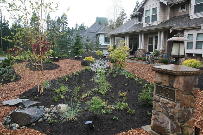 A rain garden can beautify your landscape and turn you into an
