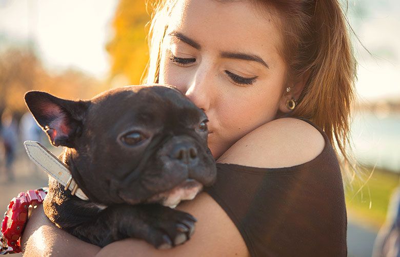 Holiday Gifts for Pets: Millennials Most Likely to Buy Gifts