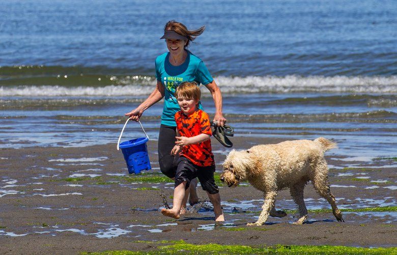 Glynis Malcolm and four-year-old Eli Taylor run across the low tide on the east side of Hat Island. Cassie, named after the Cascade Mountain Range, runs along side. They were visiting family who live on the Island.

Hat Island, a private island 4 miles west of Everett, sits between Everett and the southern tip of Whidbey Island. There is no public transportation to or from it, only a private ferry that operates part time. 
Photographed on July 3, 2018. 206642