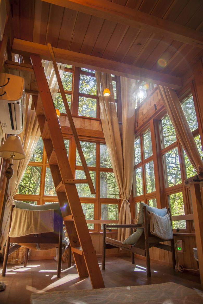 treehouse inside