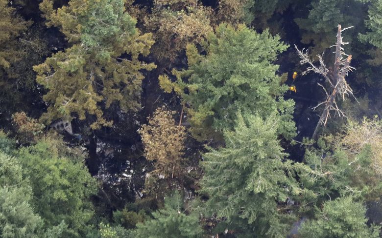 Workers wearing yellow hard hats are seen at upper right from the air Saturday, Aug. 11, 2018, near Steilacoom, Wash., at the site on Ketron Island in Washington state where an Horizon Air turboprop plane crashed Friday after it was stolen from Sea-Tac International Airport. Investigators were working to find out how an airline employee stole the plane and crashed it after being chased by military jets that were quickly scrambled to intercept the aircraft. (AP Photo/Ted S. Warren) OTK (Ted S. Warren / AP)