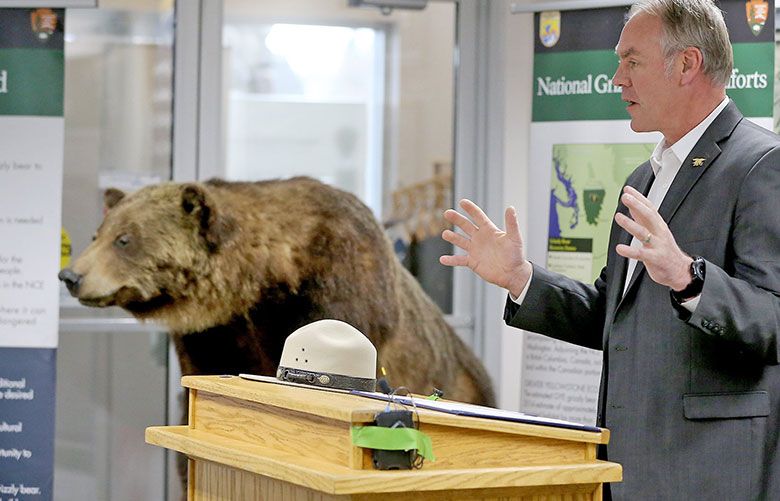 Zinke’s broken promise on North Cascades grizzlies stings | The Seattle ...