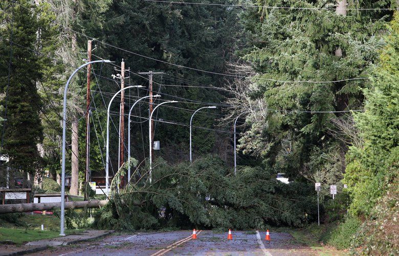 Shoreline Area News: Power outages across the entire Seattle City Light  coverage area - musing on the bad old days