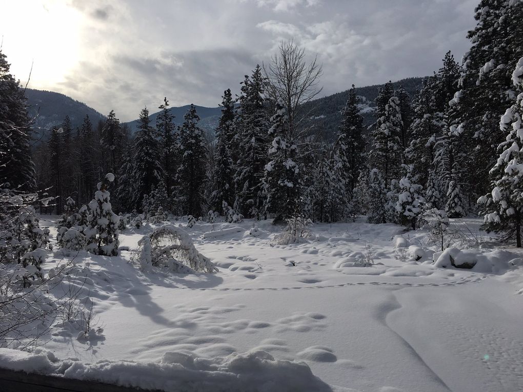 The view from one of the Methow Trails originating in the town of Mazama. The towns of Twisp, Mazama and Winthrop anchor the largely rural area. (Megan Burbank / The Seattle Times)