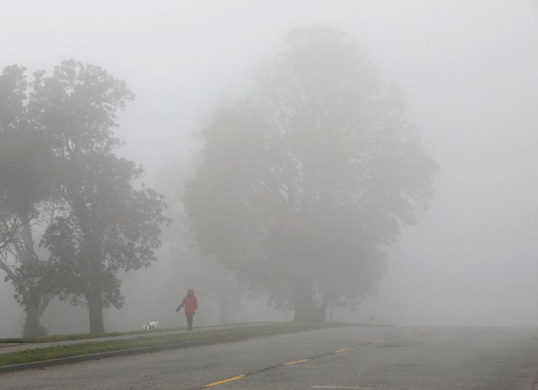 Fog could be dense Tuesday morning