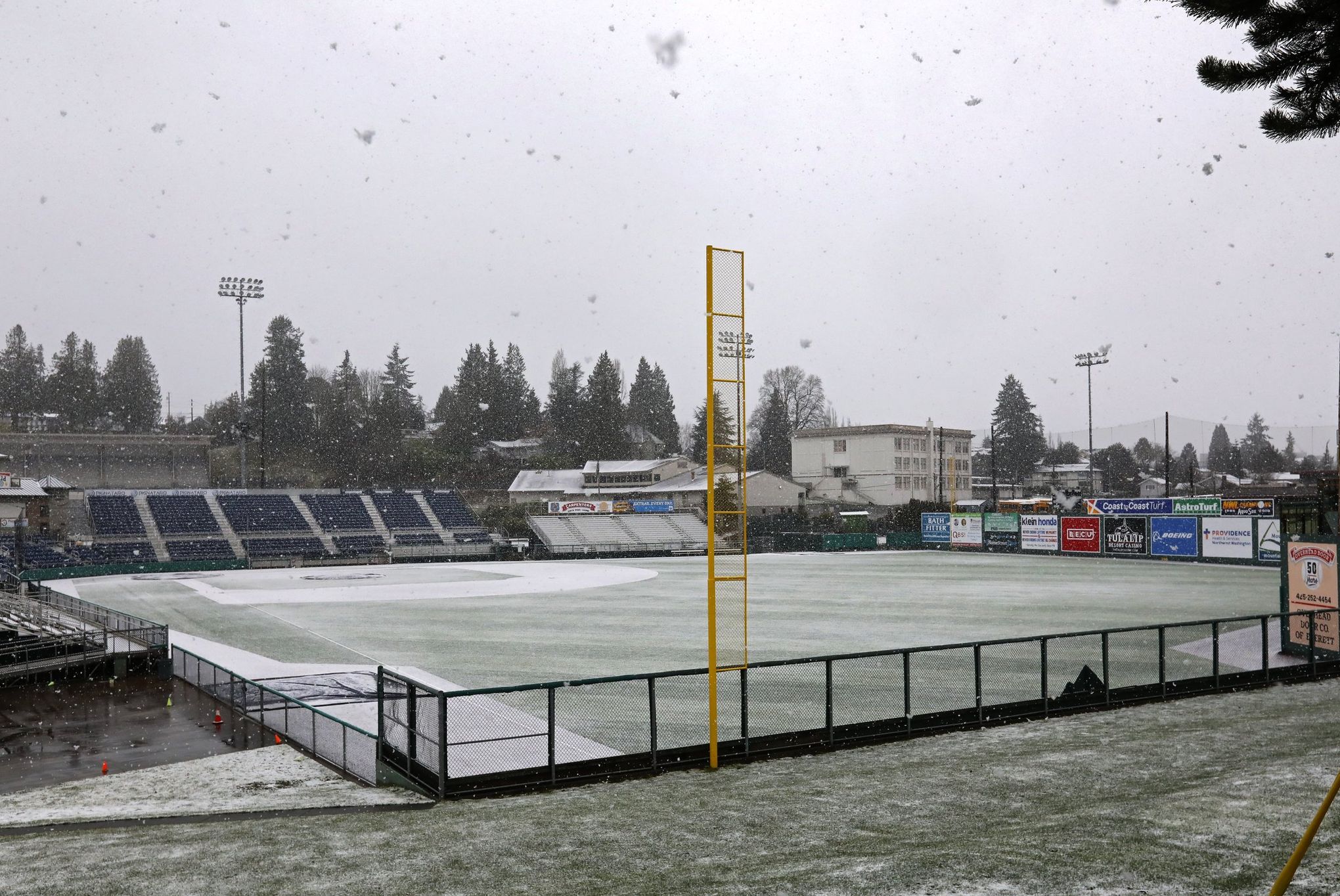 Rodriguez shines for AquaSox in Funko Field debut