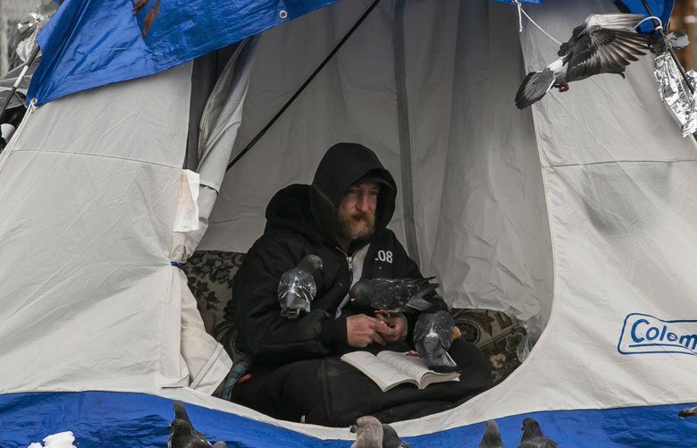 Russ “Shadow” Morisch CQ feeds the birds from his tent near Denny Way in Seattle Monday, February 4, 2019. Morisch says he is undeterred by the cold and has been sleeping outside for the better part of 14 years. 209236