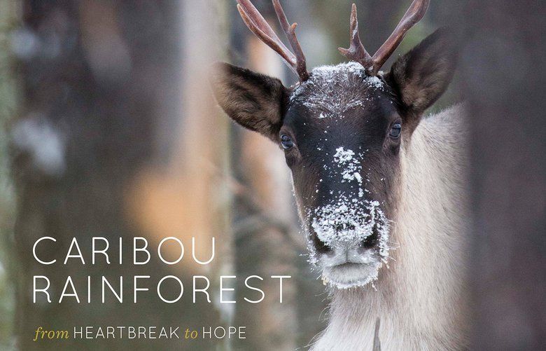 “Caribou Rainforest: from Heartbreak to Hope” by David Moskowitz