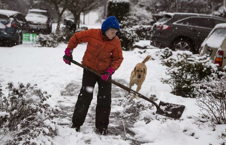 Beckett Luthi, 9, shovels the sidewalk outside his home in West Seattle Friday, Feb. 8, 2019. Luthi’s family and their neighbors spent part of the afternoon sledding. 209285