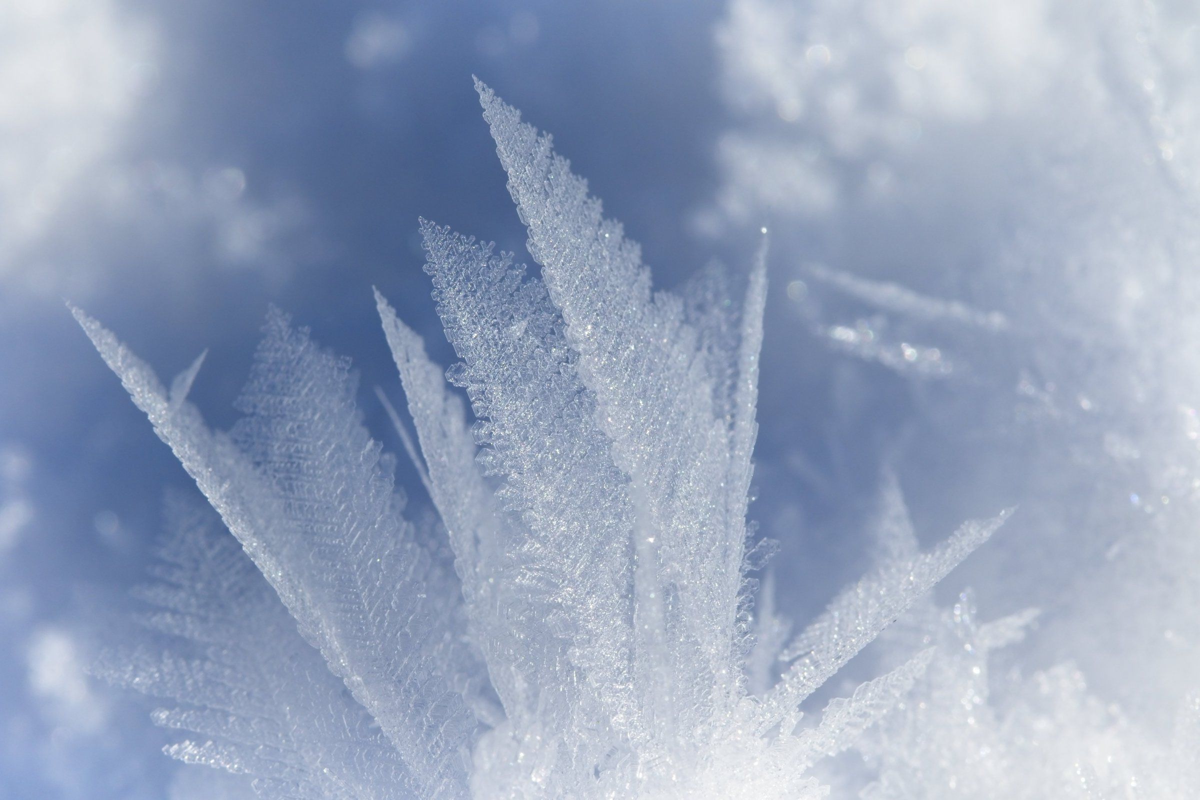 02192019_snow-lens_094555.jpg?