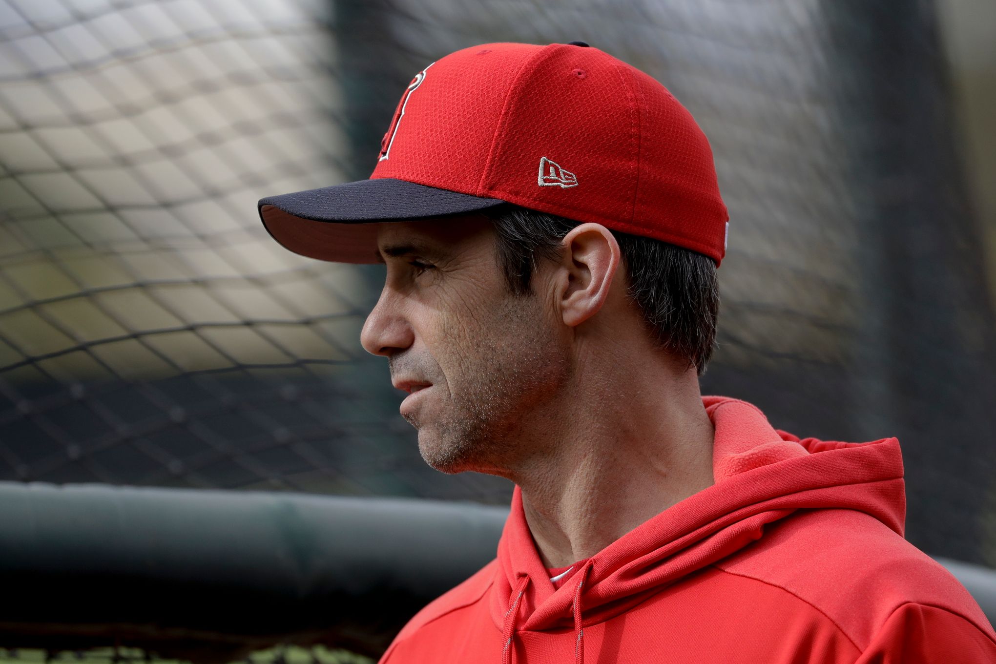 Guess who's back? Brad Ausmus and maybe Ohtani, too 