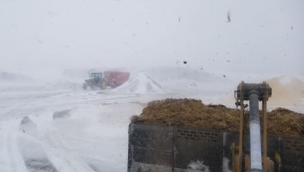 White-out snow conditions at the J & K Dairy in Sunnyside on the morning of Feb. 9, when the blizzard hit. Co-owner Jason Sheehan took this photo from his tractor. (Courtesy of Jason Sheehan)