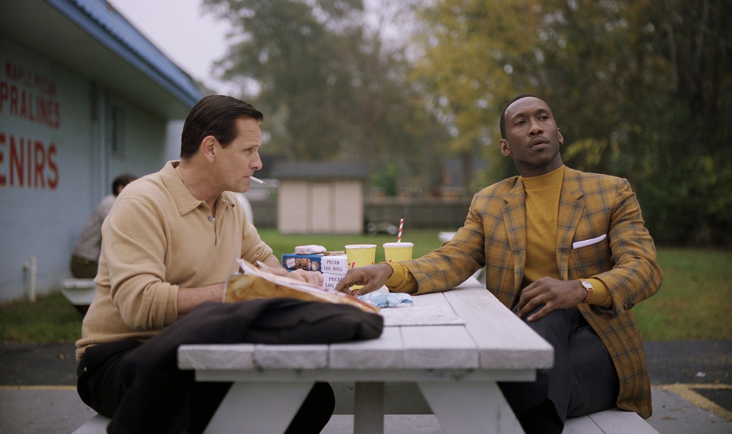 Streaming film deals green book