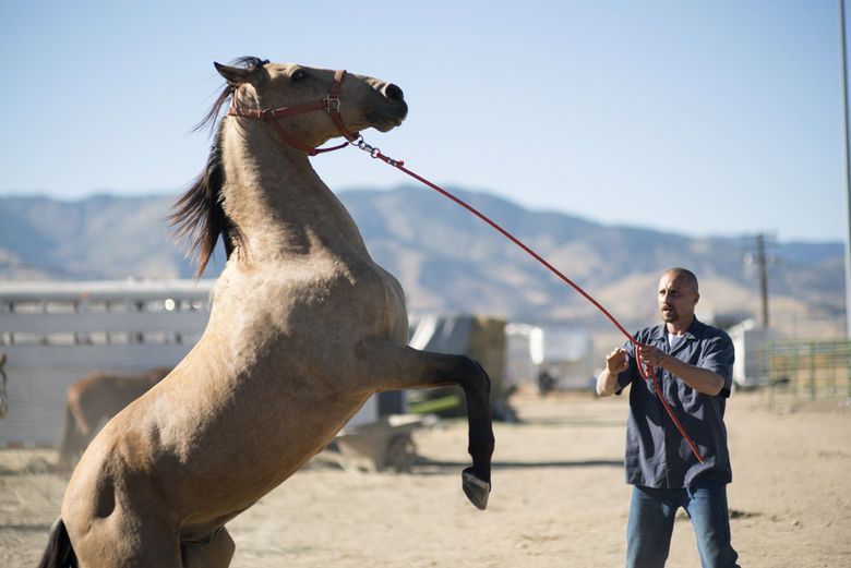 Actors  Wild Horse Kate's Red Dead Redemption