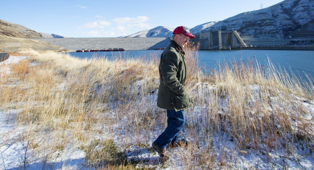Tom Kammerzell, a port of Whitman County commissioner and owner of Maple K Farms near Colfax, walks along the Snake River near Lower Granite Dam, which, he proudly notes, is equipped with “world-class, state-of-the-art” fish passage equipment, unlike major dams on the Columbia River. Kammerzell raises Highland cattle on a family farm in the Palouse. (Mike Siegel / The Seattle Times)