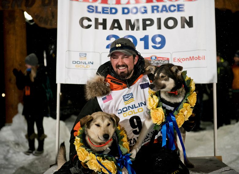gebied Bepalen Autorisatie Musher's journey from feeding sled dogs to winning Iditarod | The Seattle  Times