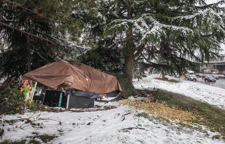 Friday, Feb. 8, 2019   Homeless in homeless camps are subject to adverse freezing weather and snow that is blanketing the area for the second time this winter.  An encampment is located on I-5 near the 45th Ave. overpass.  209292