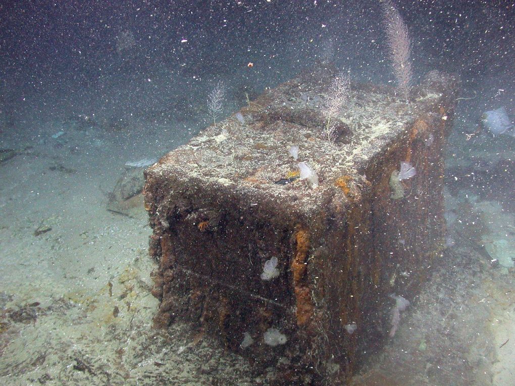 The SS Central America purser’s safe, seen on the Atlantic Ocean floor in 2014, the second time much of its valuable cargo was brought to the surface. (California Gold Marketing Group / )