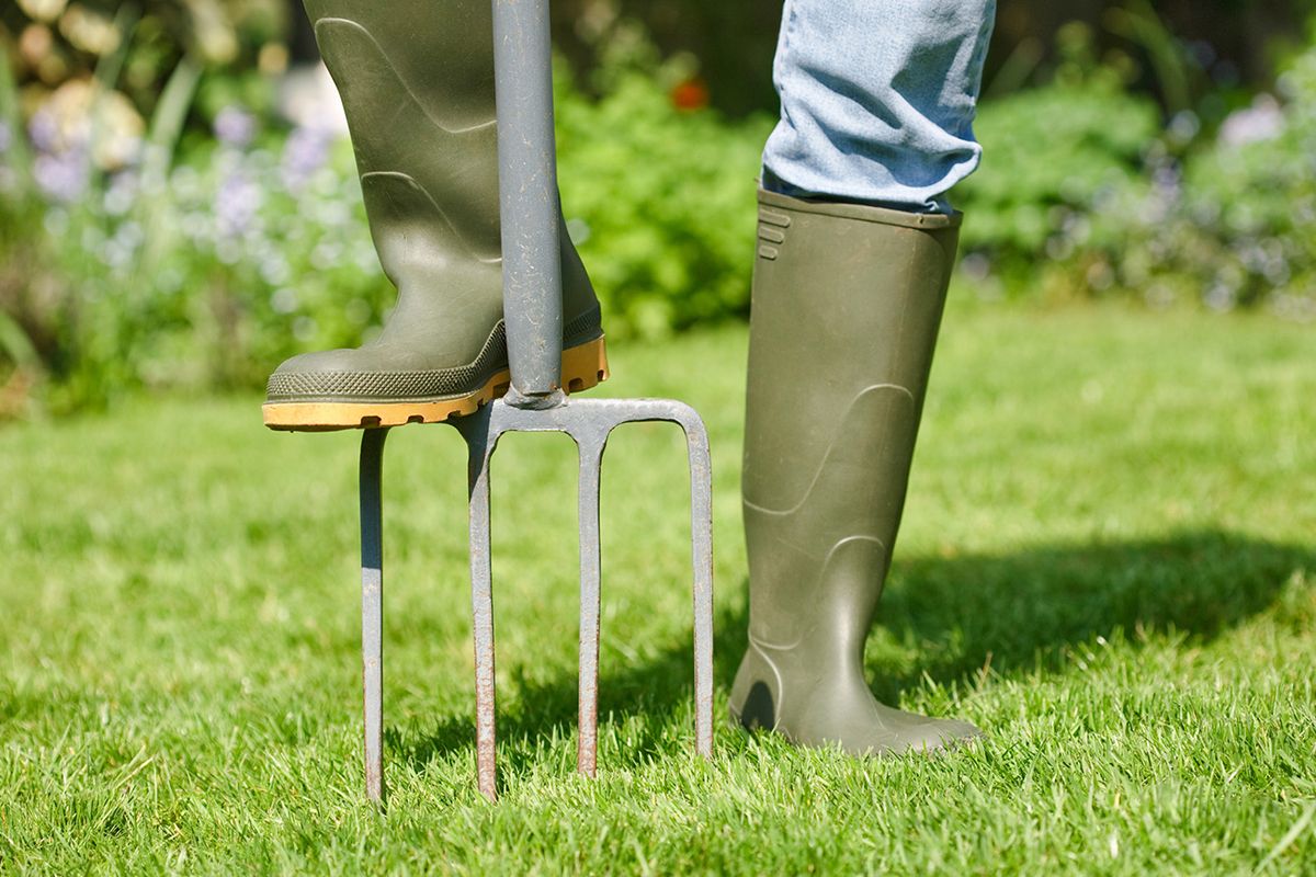 Machine that makes discount holes in grass