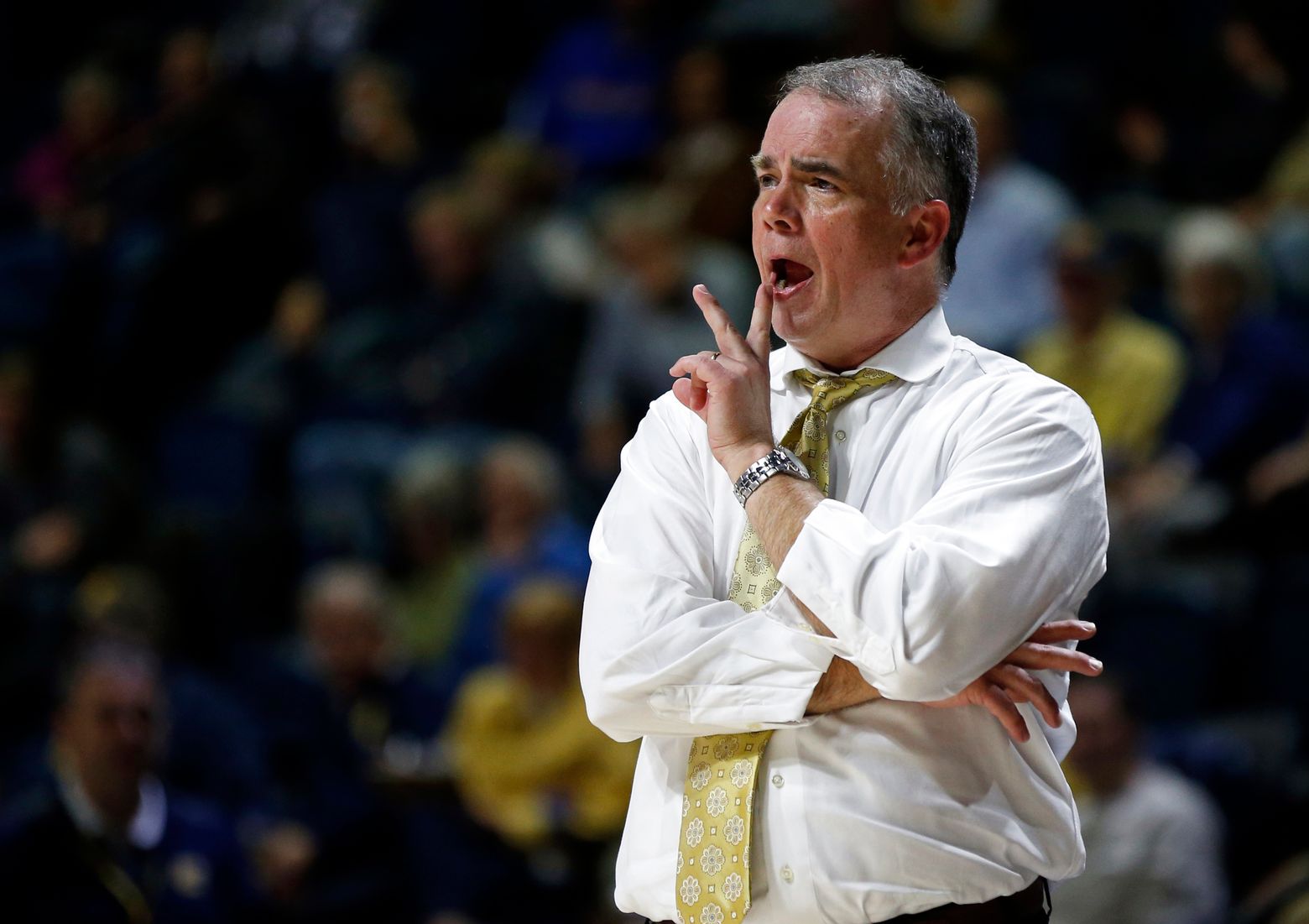 Wofford promotes assistant McAuley to head coach | The Seattle Times