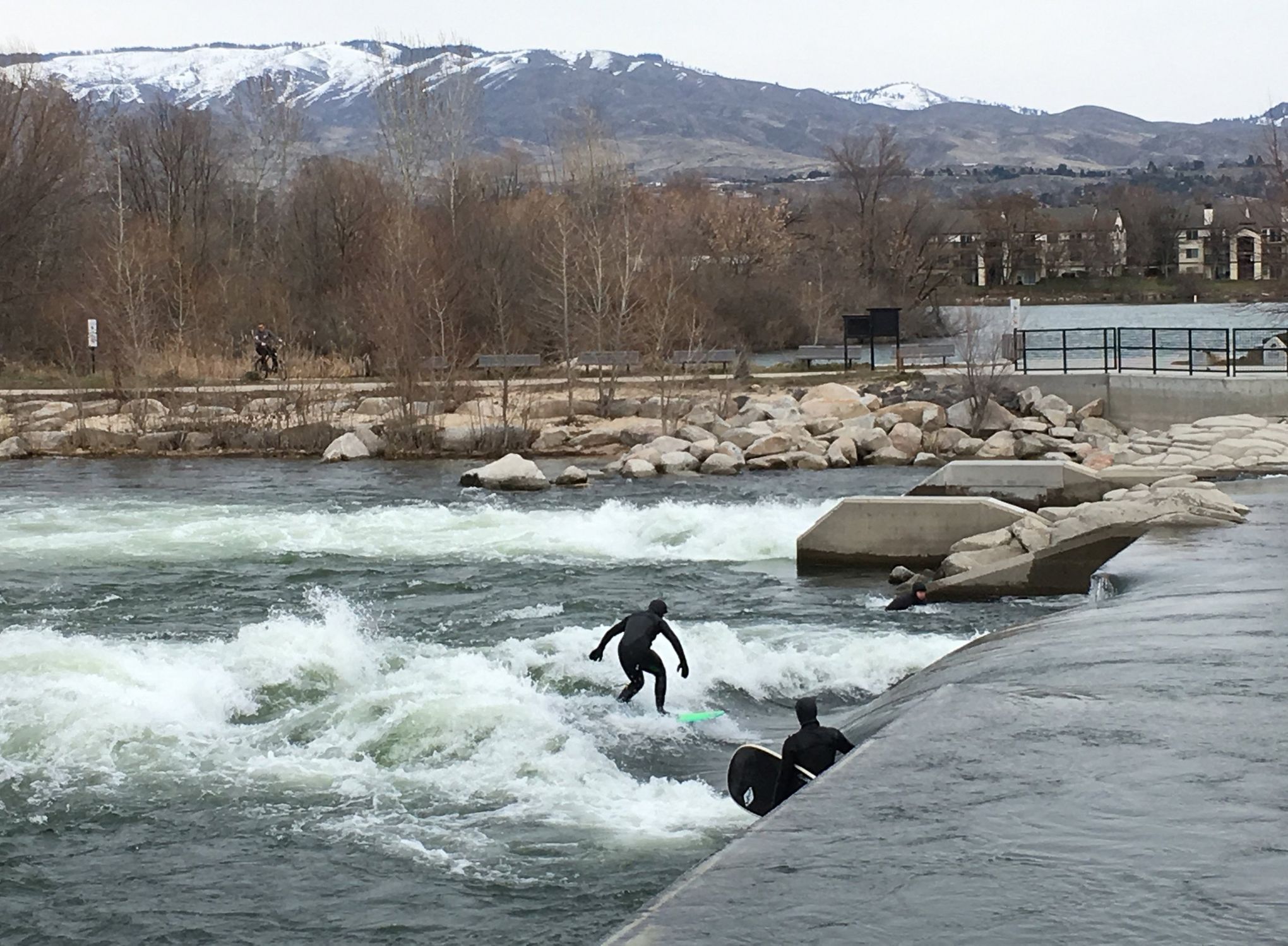 Tree to Board: The Art of Surfing - Colby News