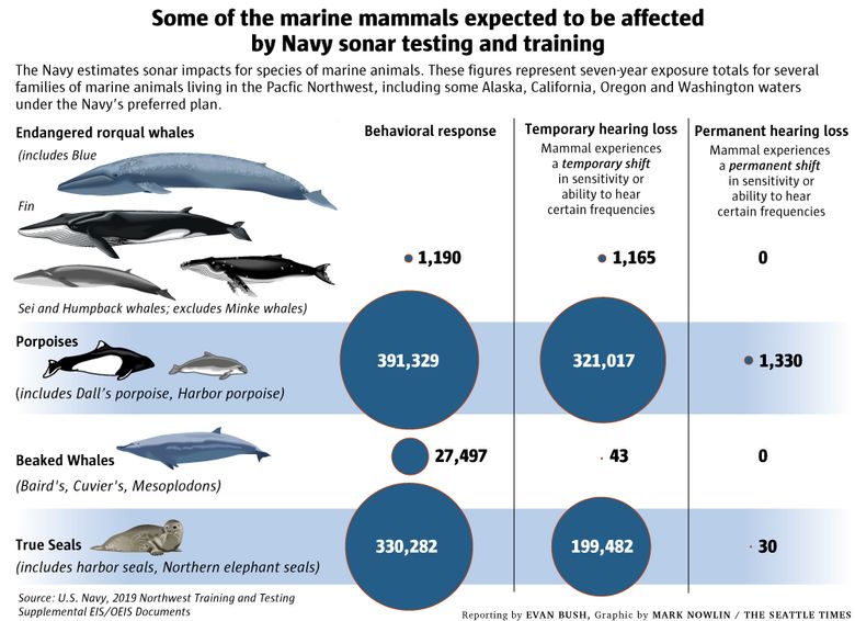 Navy plans extensive training in Pacific Northwest. Here's how many animals  could be hurt. | The Seattle Times