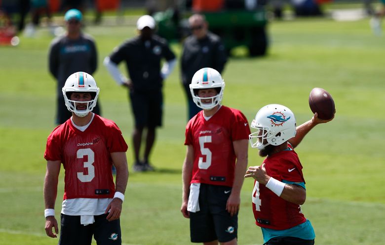 Miami Dolphins quarterback Ryan Fitzpatrick (14) looks to throw a