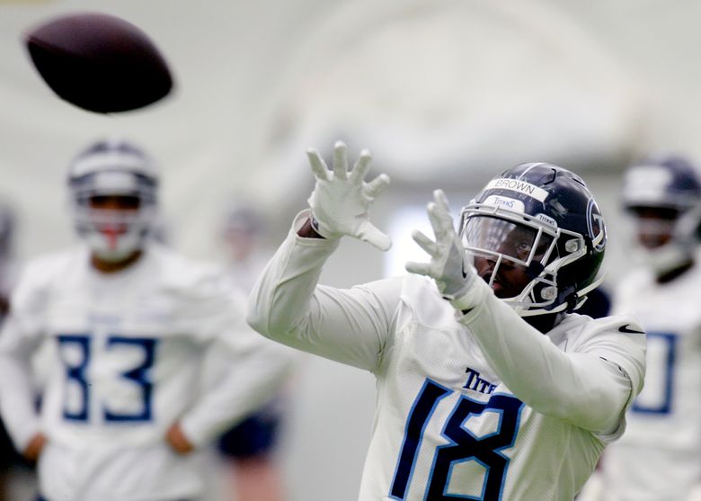 AJ Brown: Tennessee Titans receiver in photos