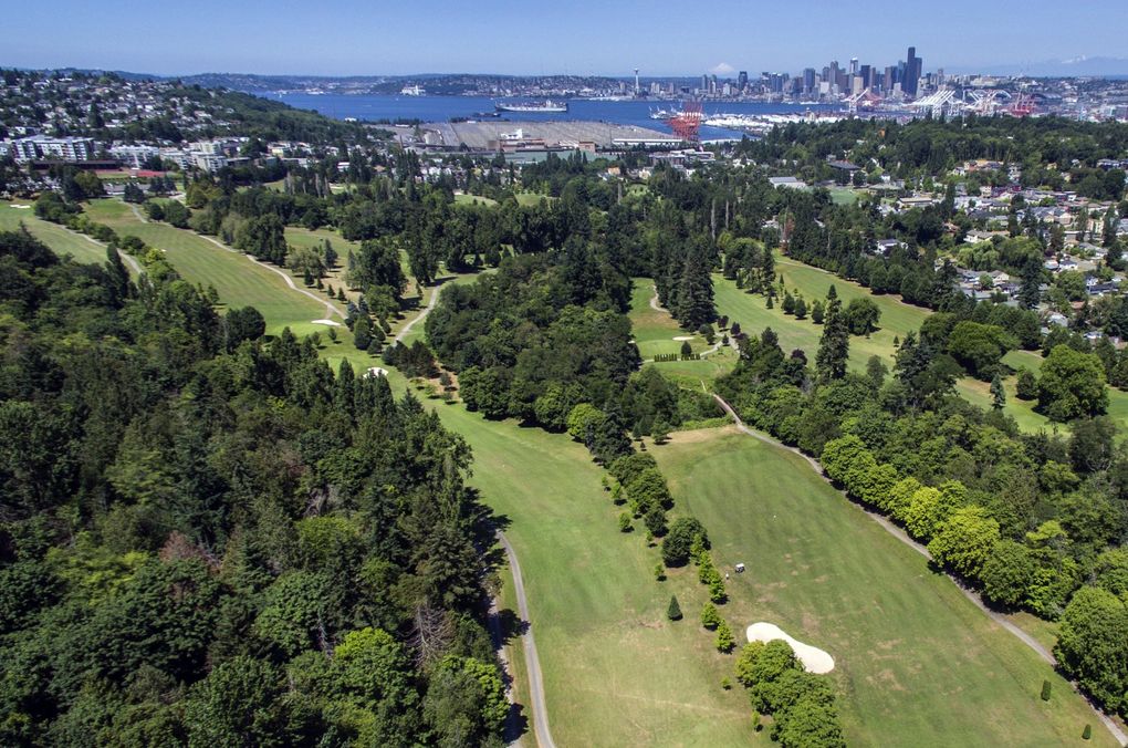 View of the West Seattle Golf Course. (Steve Ringman / The Seattle Times)