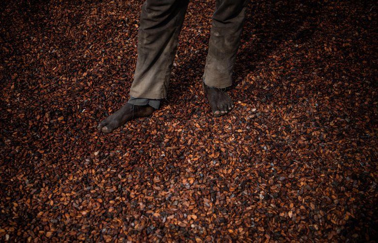 A worker stands on dried cocoa beans outside an Ivory Coast cooperative facility. About two-thirds of the world’s cocoa supply comes from West Africa. MUST CREDIT: The Washington Post photo by Salwan Georges.