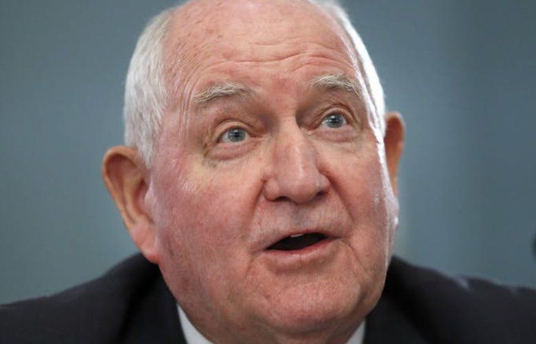 In this February 27, 2019, file photo, Agriculture Secretary Sonny Perdue testifies during a House Agriculture Committee hearing on Capitol Hill in Washington, D.C. (Jacquelyn Martin/Minneapolis Star Tribune/TNS) 1337474 1337474