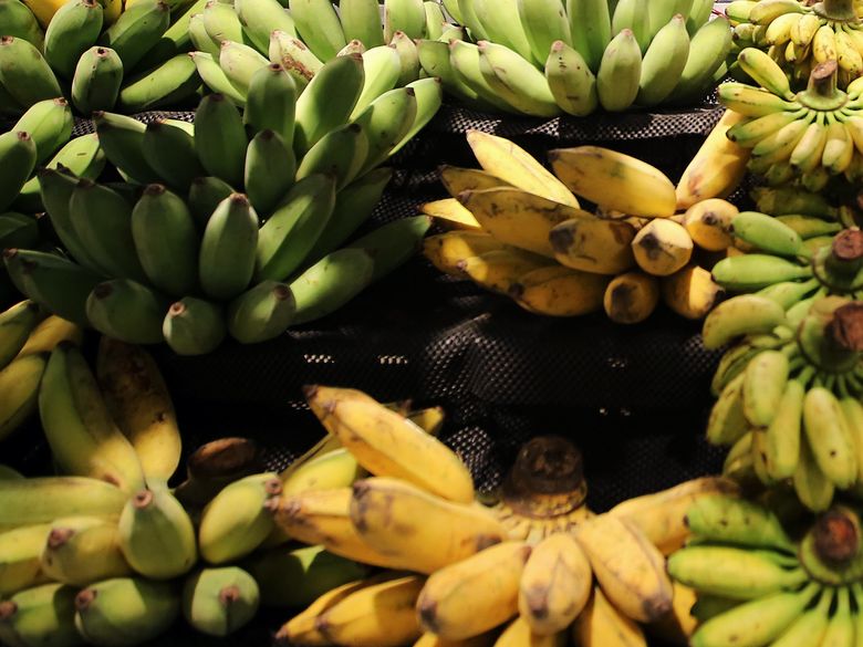 Banana Kong: saiba como ganhar bananas no game para Android e iOS