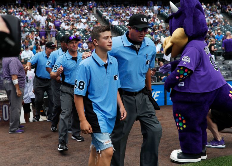 Teen ump caught in parents' brawl gets major league support