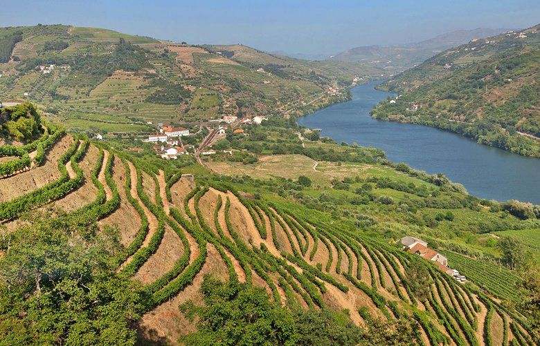 Explore port wine in Portugal’s Douro Valley | The Seattle Times