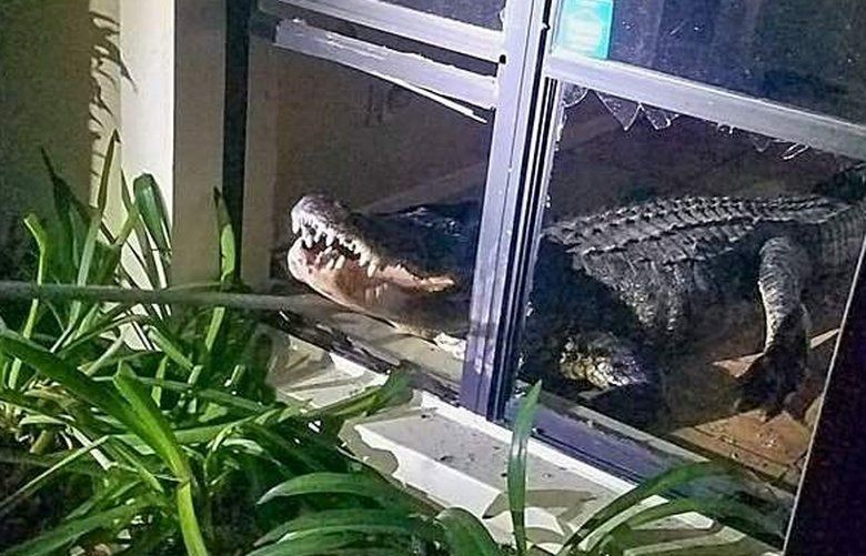 Florida woman battles insurer who won’t pay for kitchen that giant