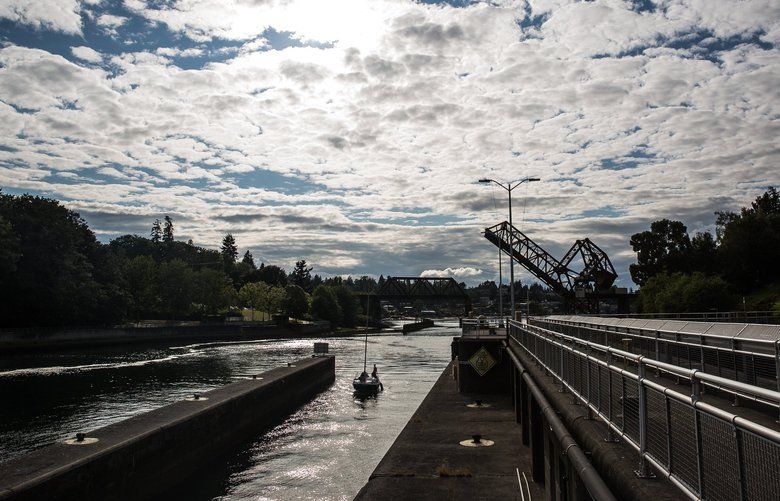 Boaters at the Ballard Locks on Thursday, July 11. 210845

LO