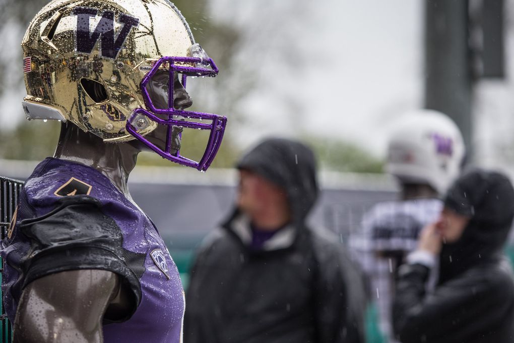 Fans braved a heavy rain to watch the Huskies in their spring game at Husky Stadium and see the new uniforms on display for the first time since their debut in 2016. (Dean Rutz / The Seattle Times)