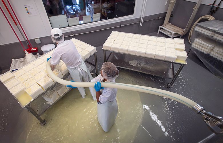 synthetic meat, labgrown dairy is here The Seattle Times