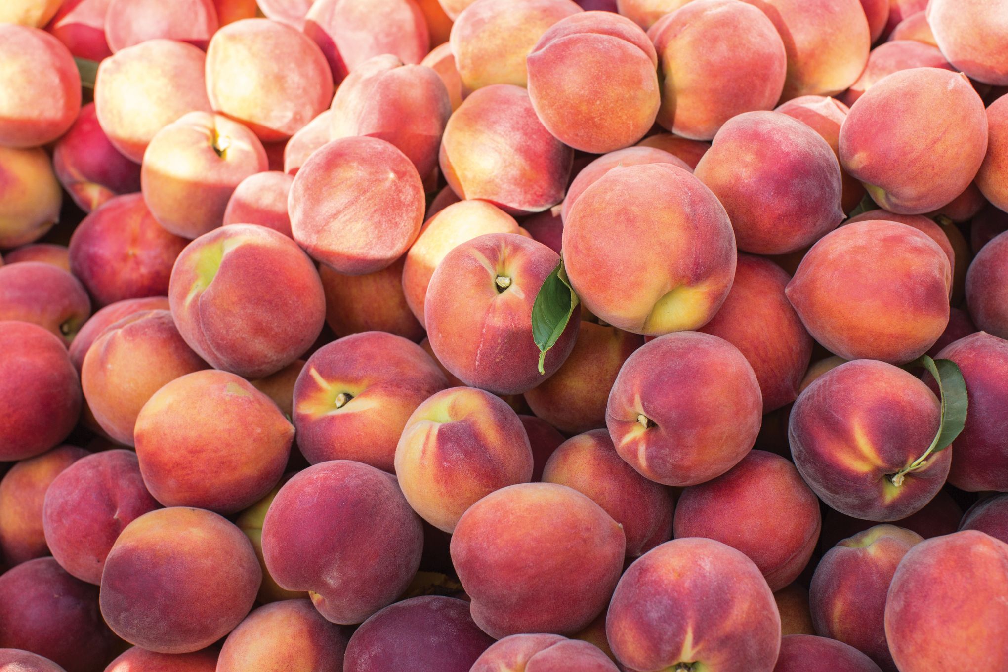 Fresh, peachy ways to serve nectarines - The San Diego Union-Tribune