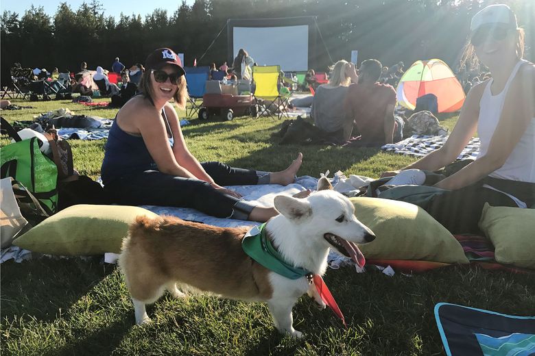 18 Dogs Enjoying Sliding Fun at the Park