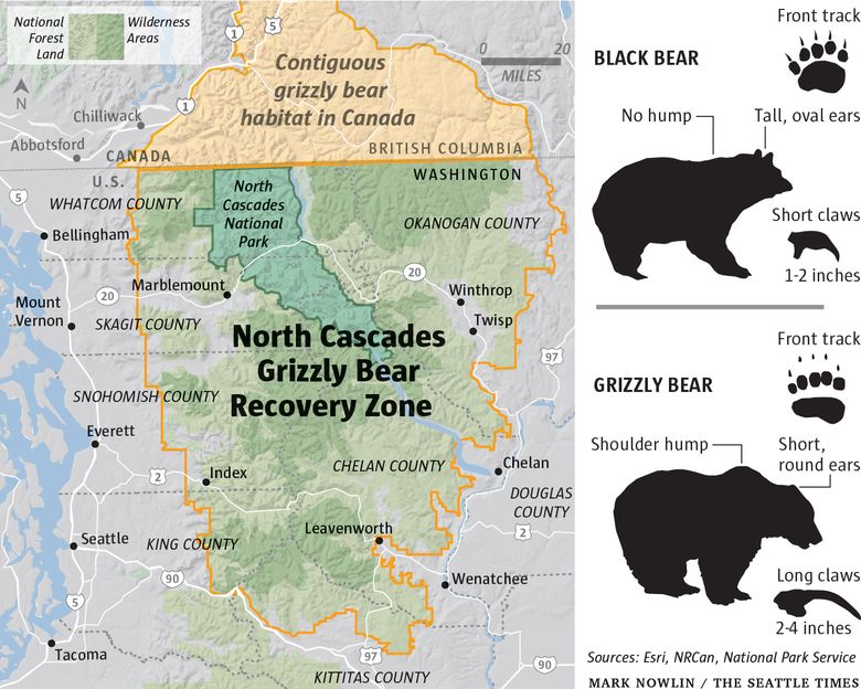 Bears In Washington State Map - Gisele Ermentrude