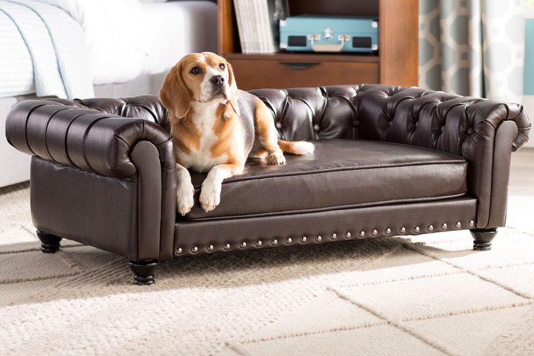 Dog Beds To 5 000 Cat Towers, Does Leather Furniture Hold Up To Dogs