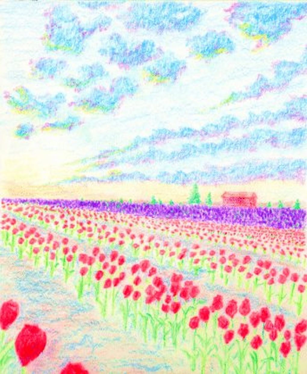 A field of Skagit Valley tulips, circa 2015. (Jay Inslee campaign)