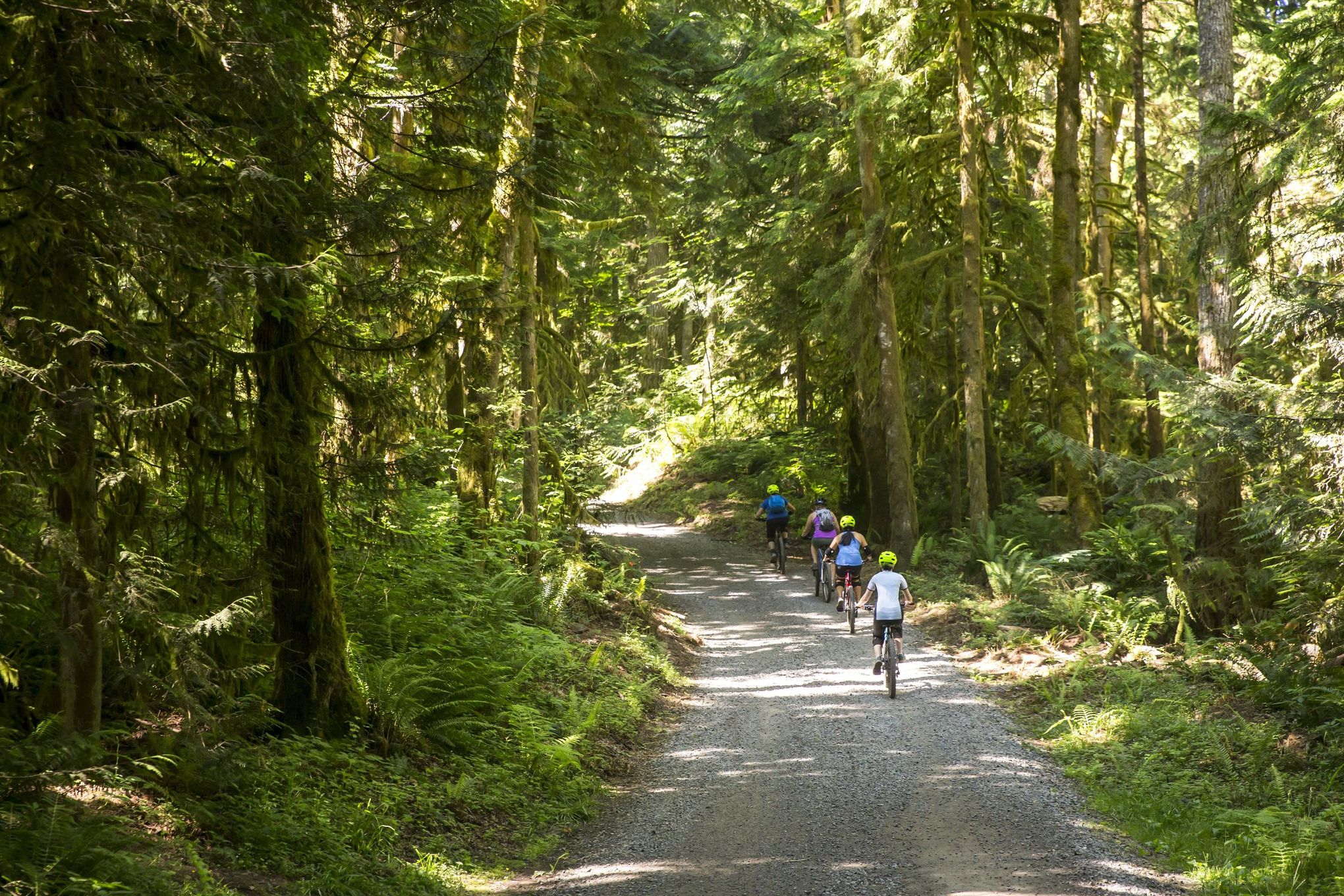 $810 million King County parks levy headed toward win | The Seattle Times, image size:2040x1360