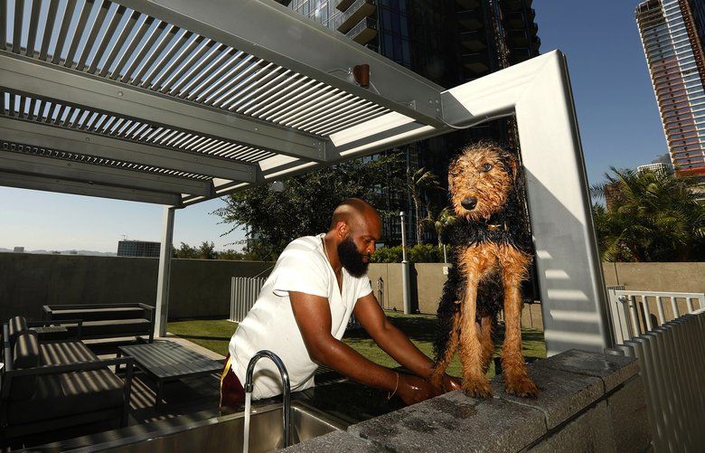 Tenant Evan Farmer washes his dog Gunner in the dog park, one of the complex’s many tenant perks, at the Circa LA Apartments in Los Angeles on July 26, 2019.  (Genaro Molina/Los Angeles Times/TNS)  1393076 1393076