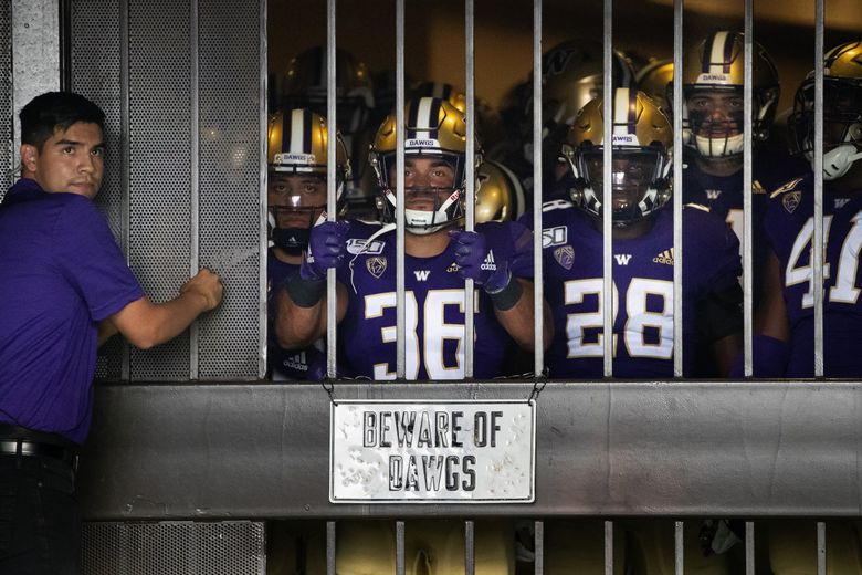 Washington Football Team Unveils Unsurprising New Name, Throws