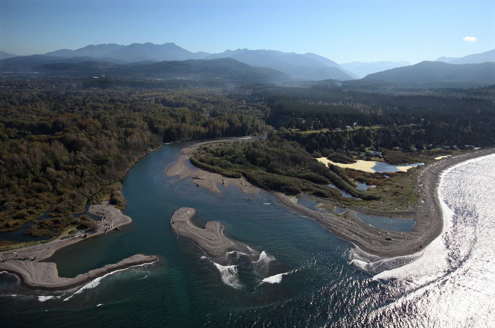In 2010, the mouth of the Elwha was expected to change when the dams come out and more than 24 million cubic yards of sediment impounded behind the dams were unleashed. (Anne Shaffer and CWI )