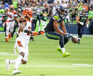 Seahawks vs. Bengals 10-30-11